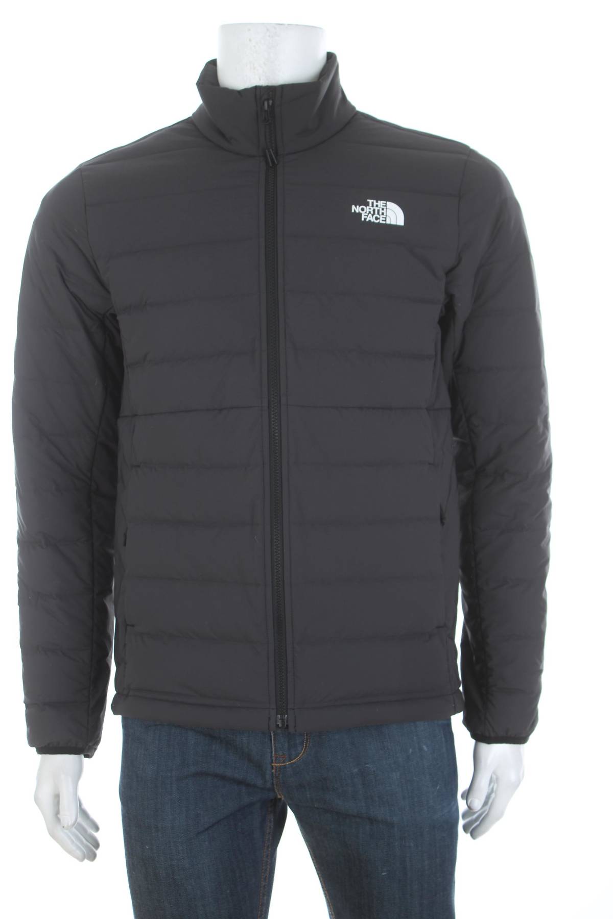 Ανδρικό μπουφάν The North Face1