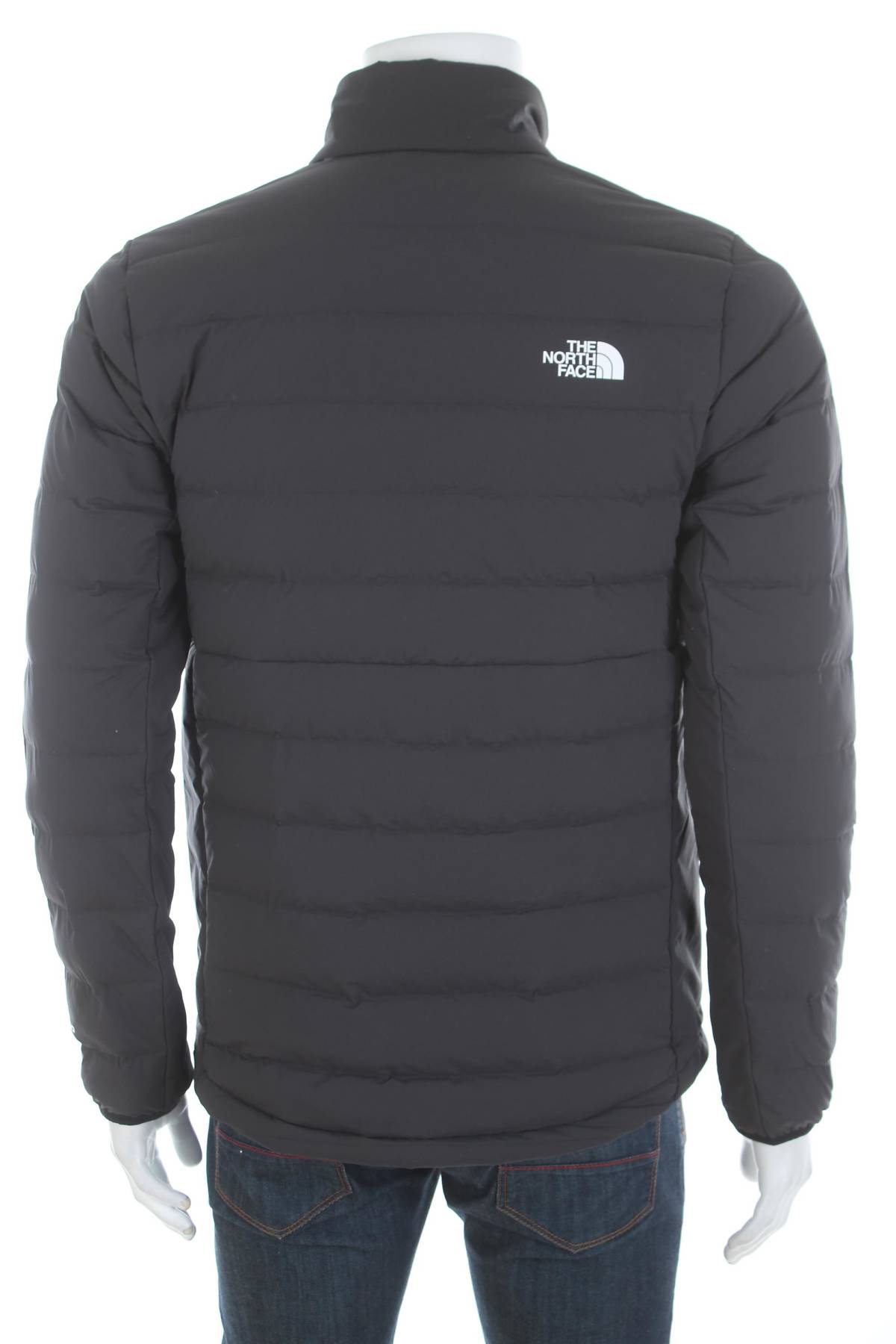 Ανδρικό μπουφάν The North Face2