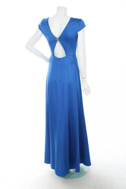 Επίσημο φόρεμα Ivy & Oak2