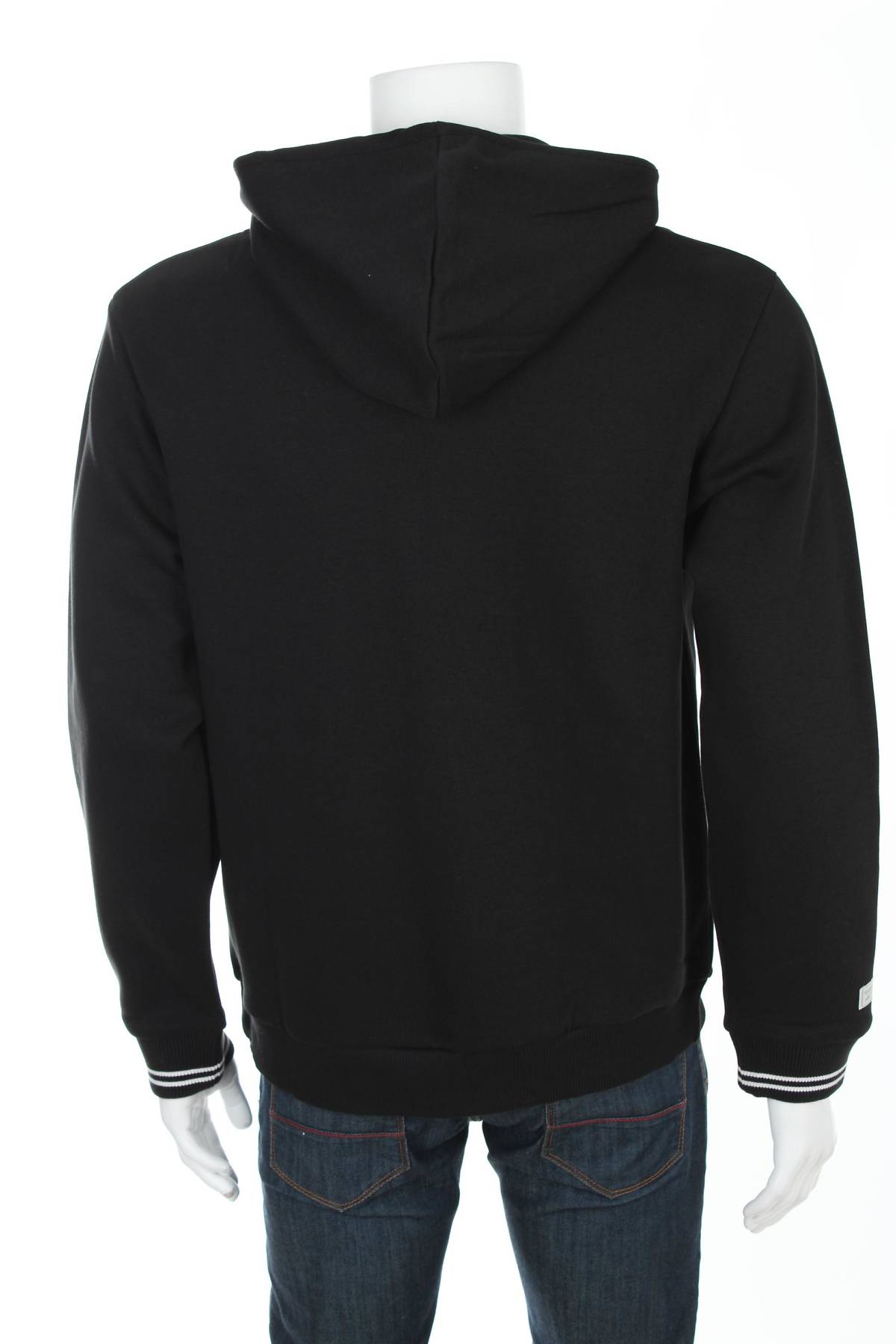 Ανδρικό φούτερ Reebok2