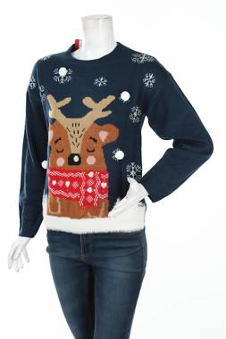 Γυναικείο πουλόβερ Terranova1