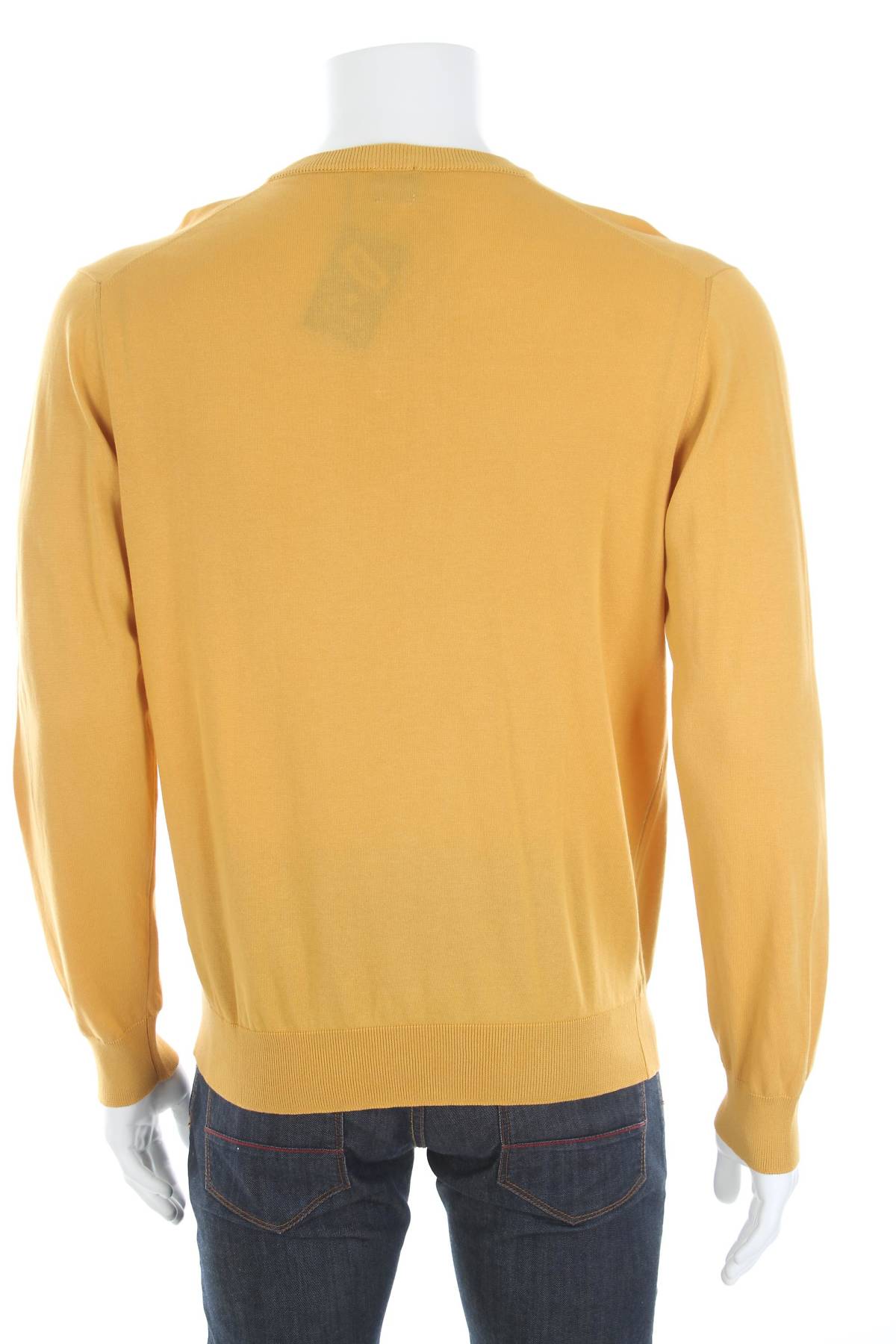 Ανδρικό πουλόβερ Andrea Fenzi2