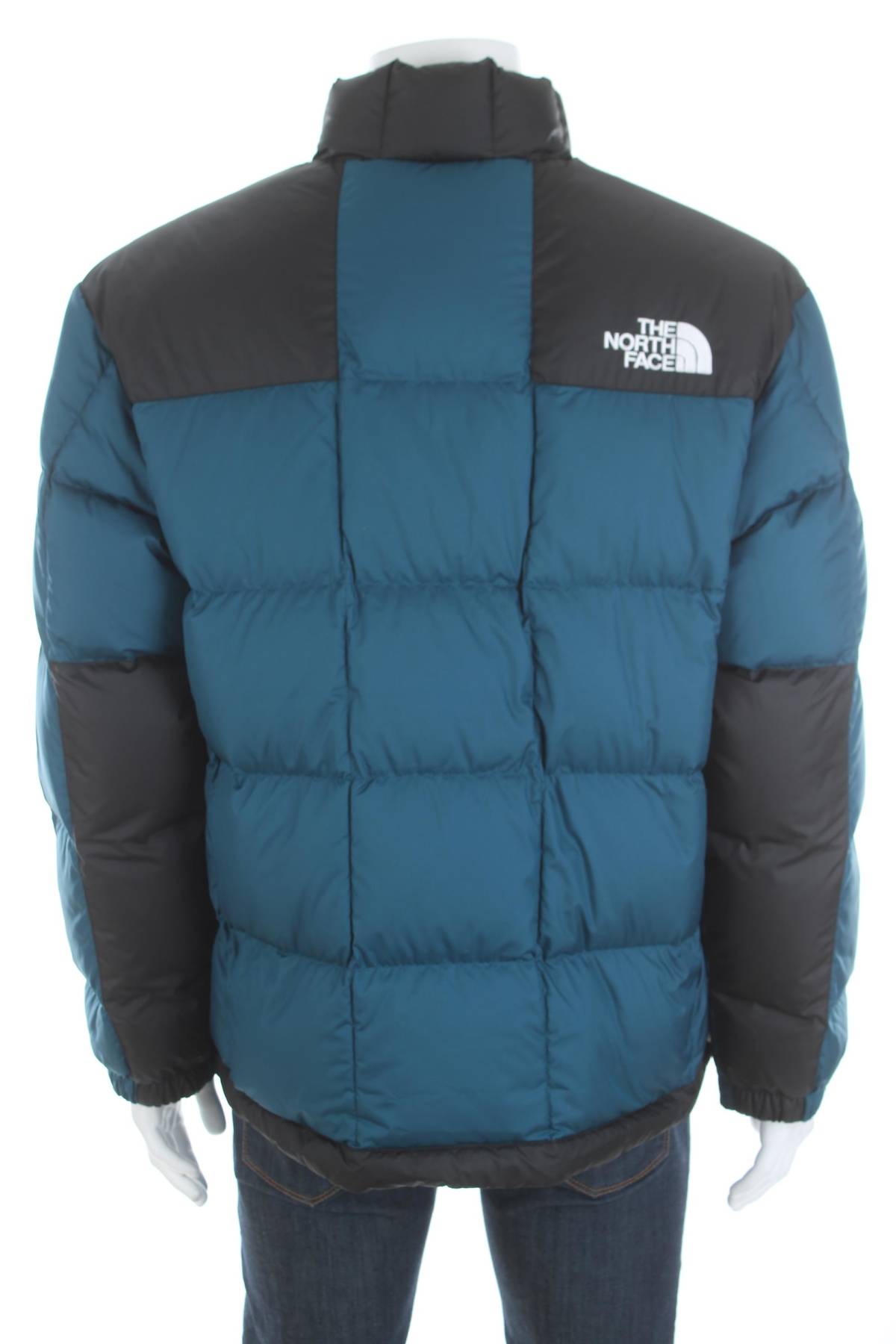 Мъжко яке The North Face2