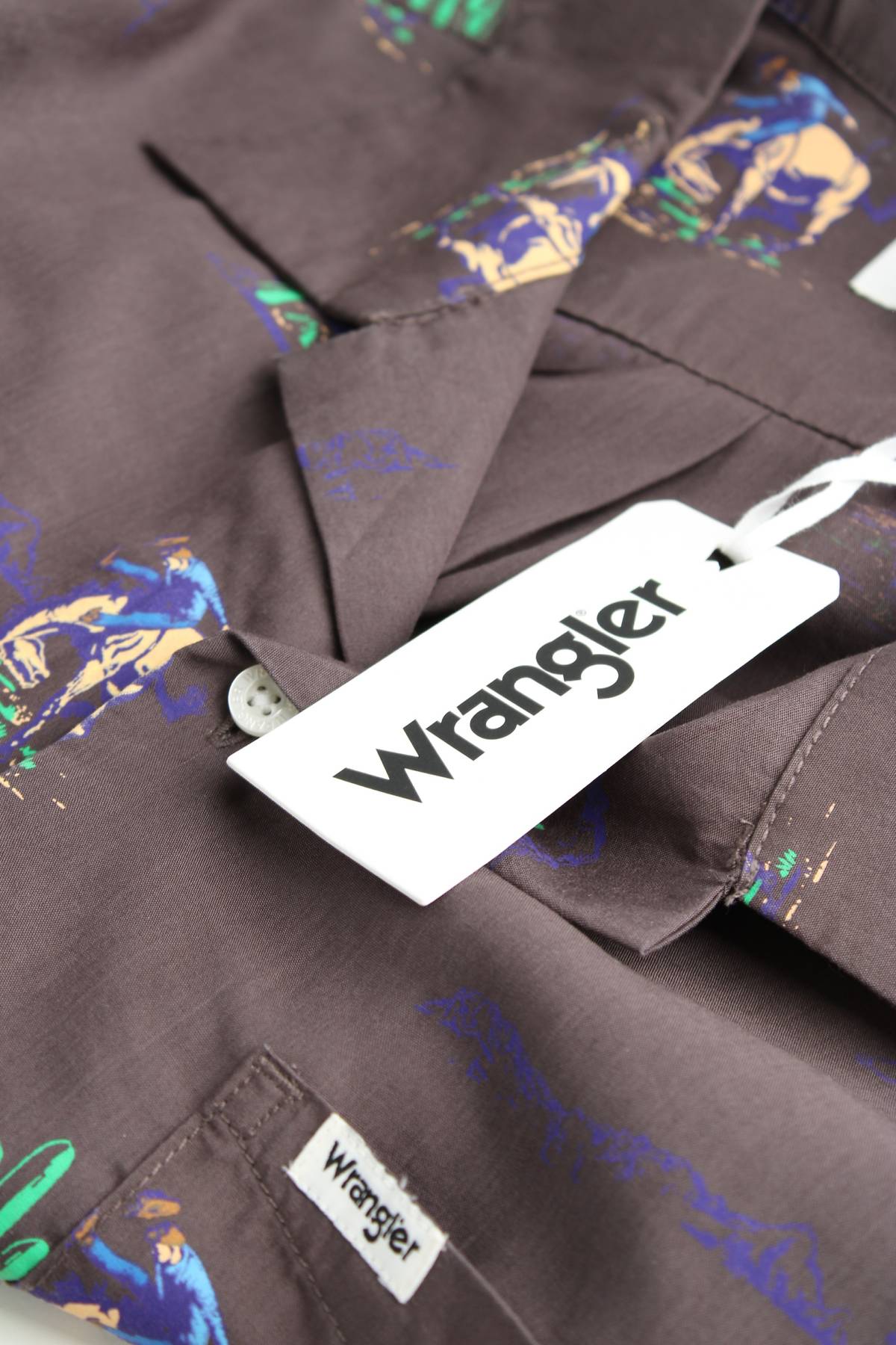 Ανδρικό πουκάμισο Wrangler3