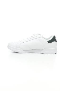 Кецове Lacoste2