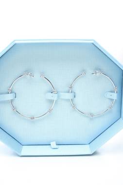 Σκουλαρίκια Swarovski1