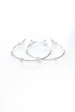 Σκουλαρίκια Swarovski2