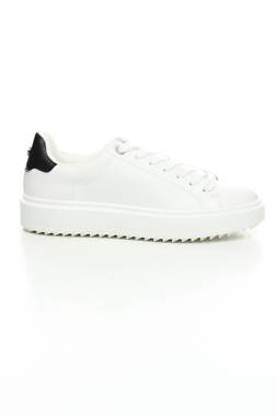Кецове Steve Madden1