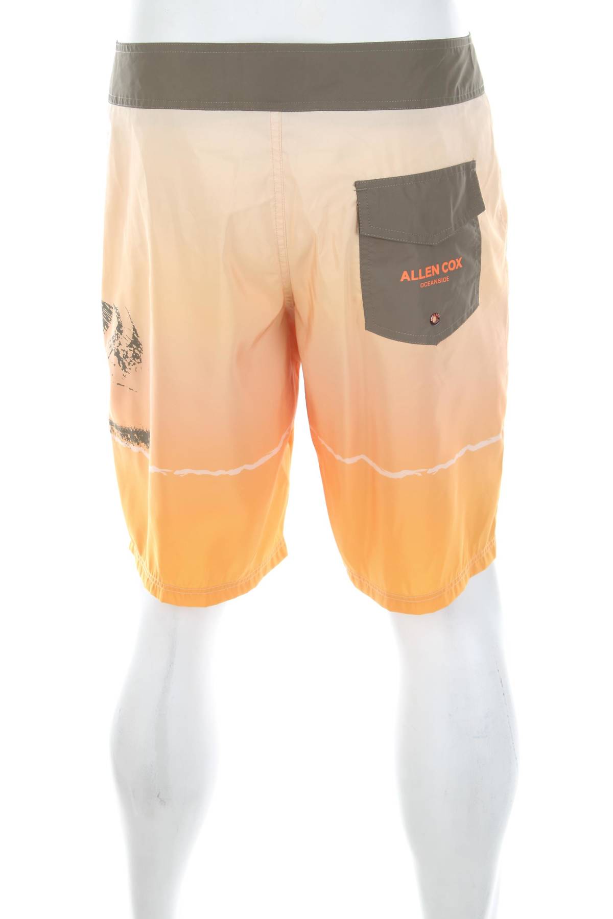 Мъжки шорти за плуване Allen Cox2