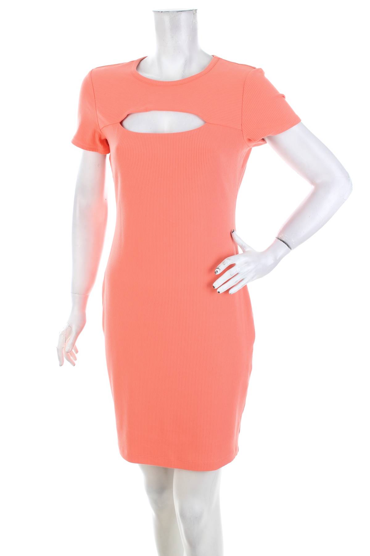 Φορέματα Guess1