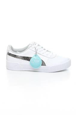 Кецове Puma1