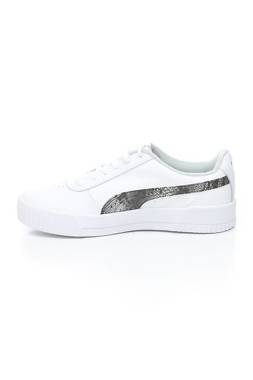 Кецове Puma2