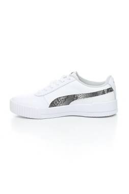 Кецове Puma2