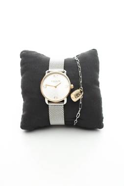 ЧАСОВНИК Coach2