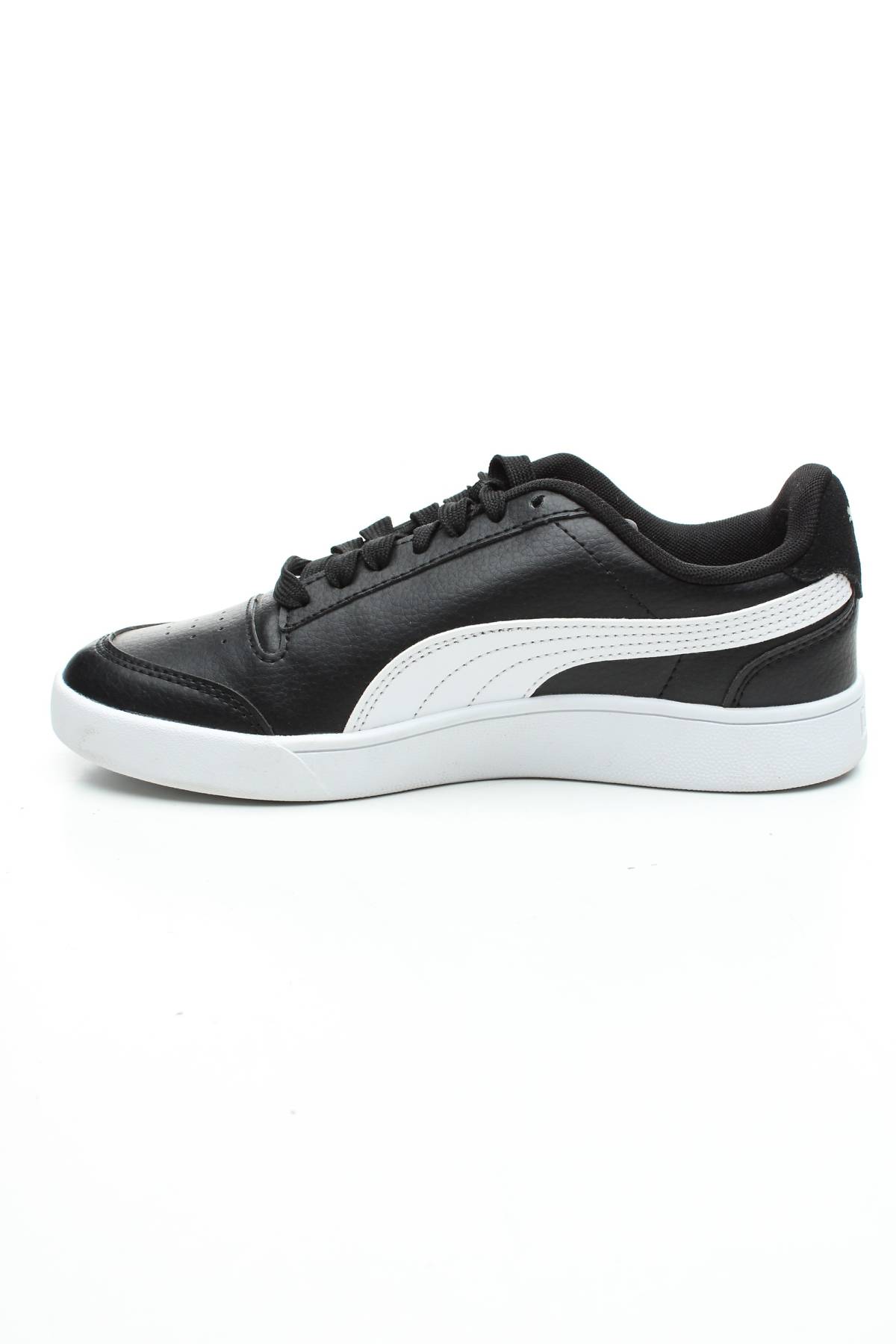 Кецове Puma2