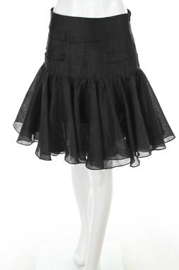 Φούστα Sandro1