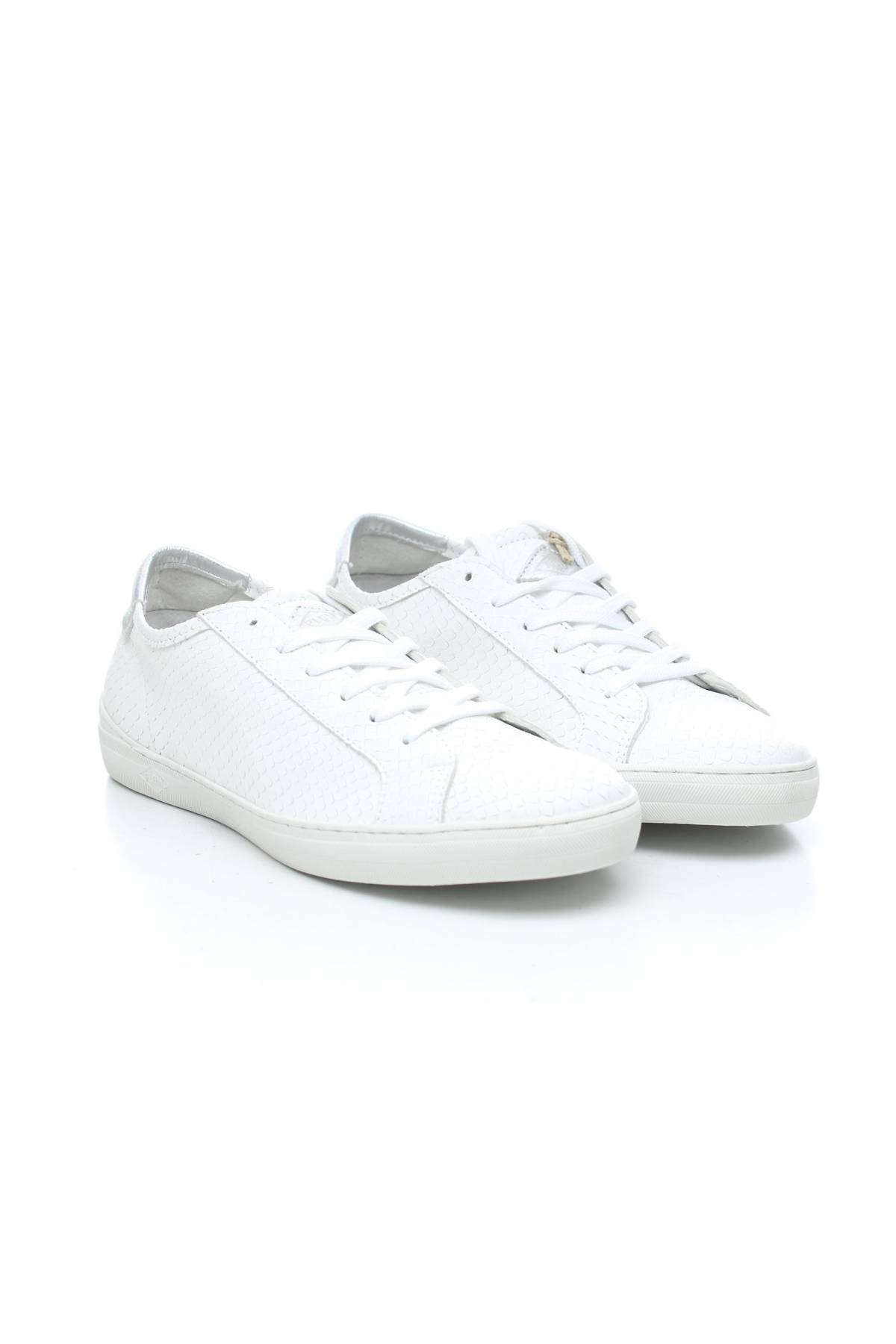 Кецове Palladium3