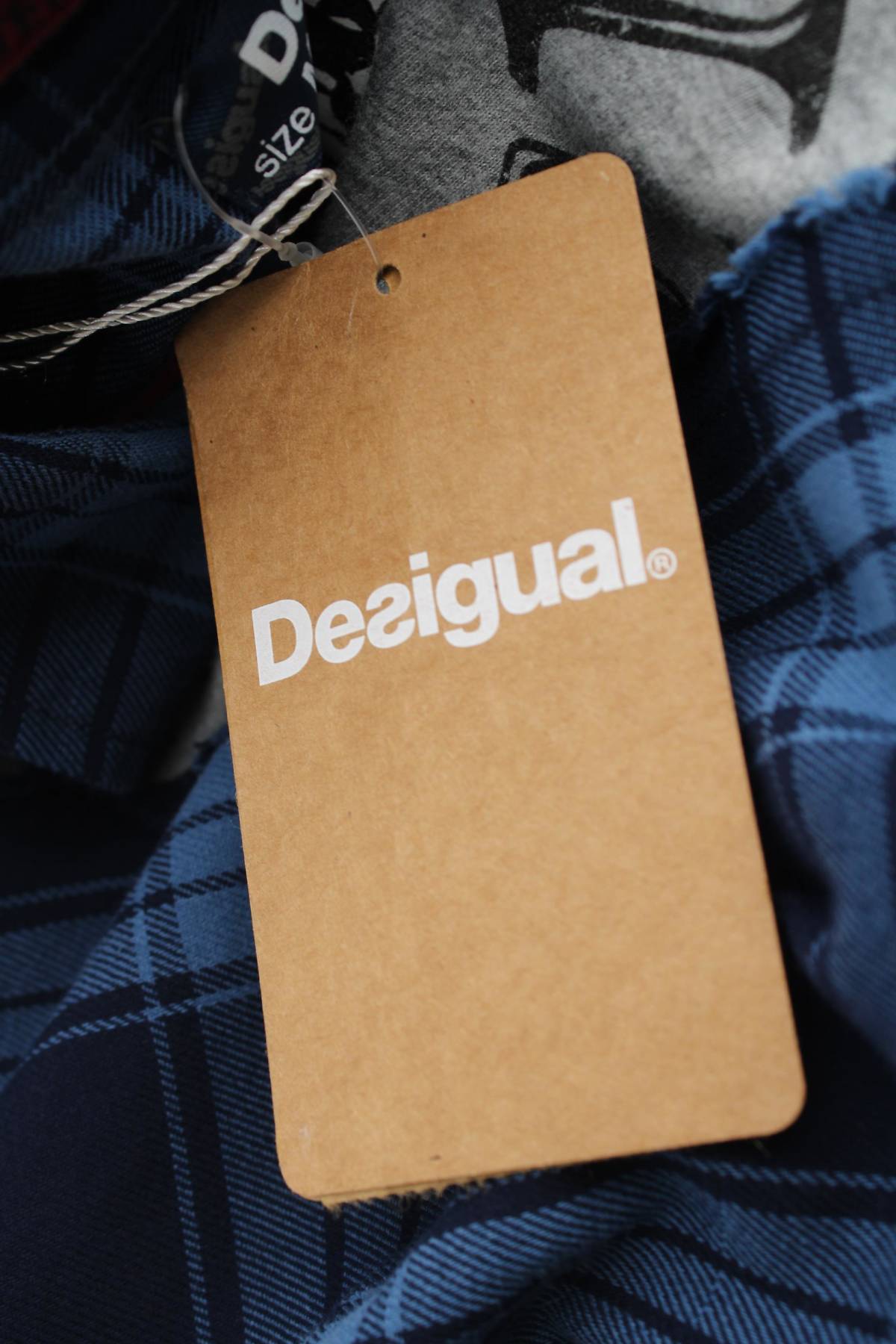 Мъжка риза Desigual3