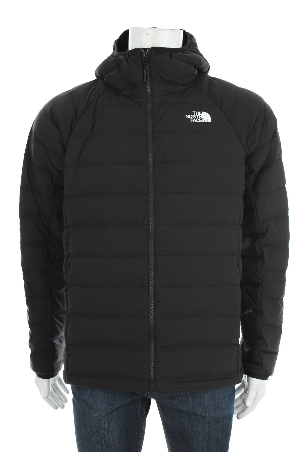 Ανδρικό μπουφάν The North Face1