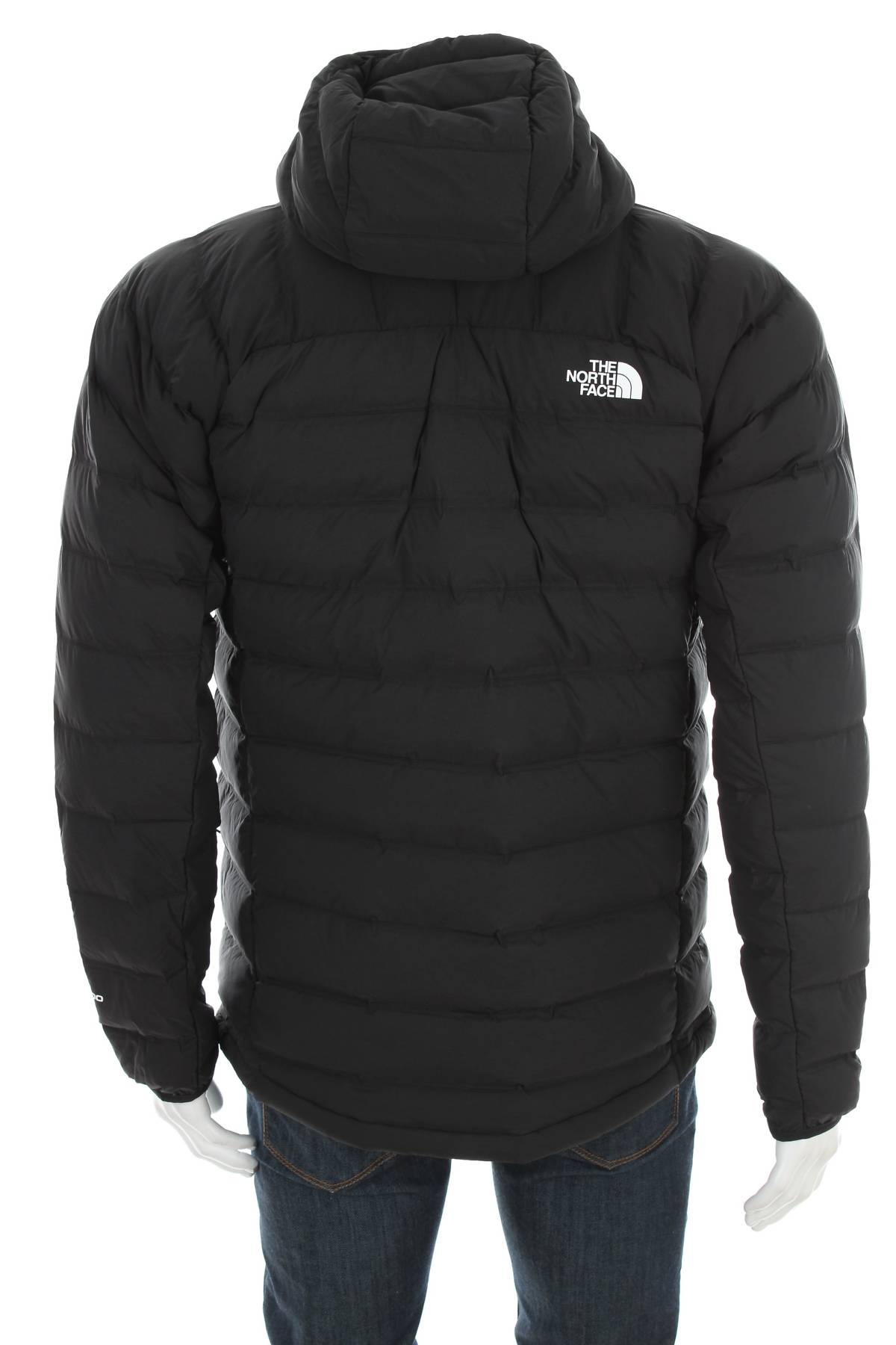 Ανδρικό μπουφάν The North Face2