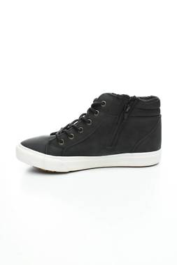 Кецове Kangaroos2