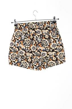 Γυναικείο σορτσάκι Dickies2