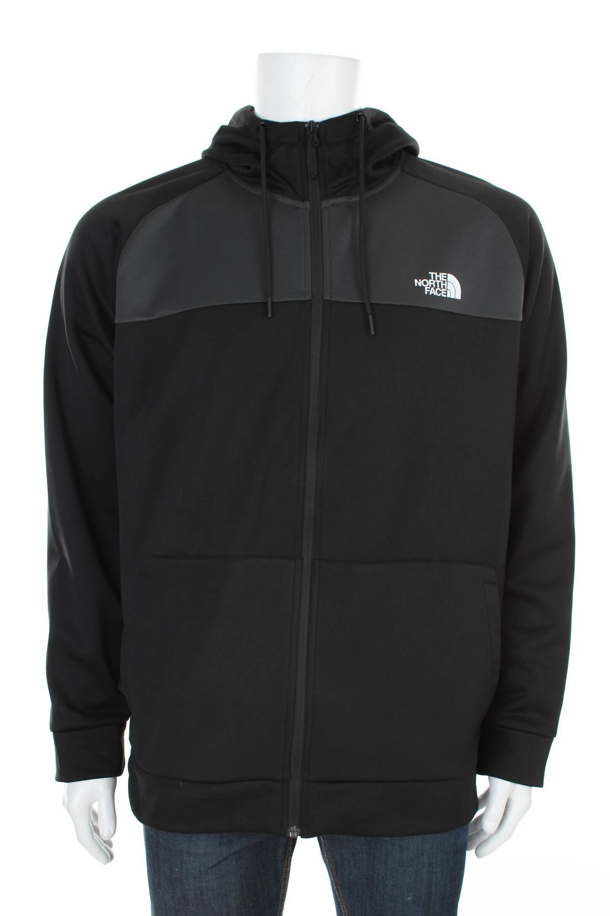 Ανδρικό φούτερ The North Face1