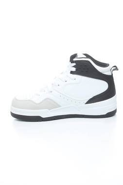 Кецове Champion2