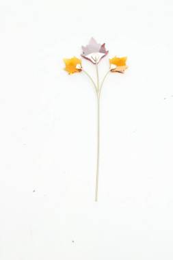 Аксесоар Swarovski2