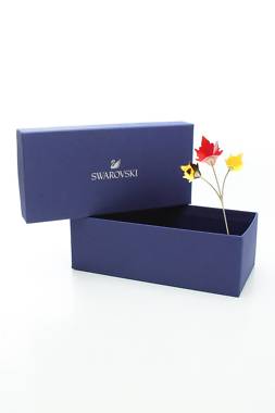 Аксесоар Swarovski1