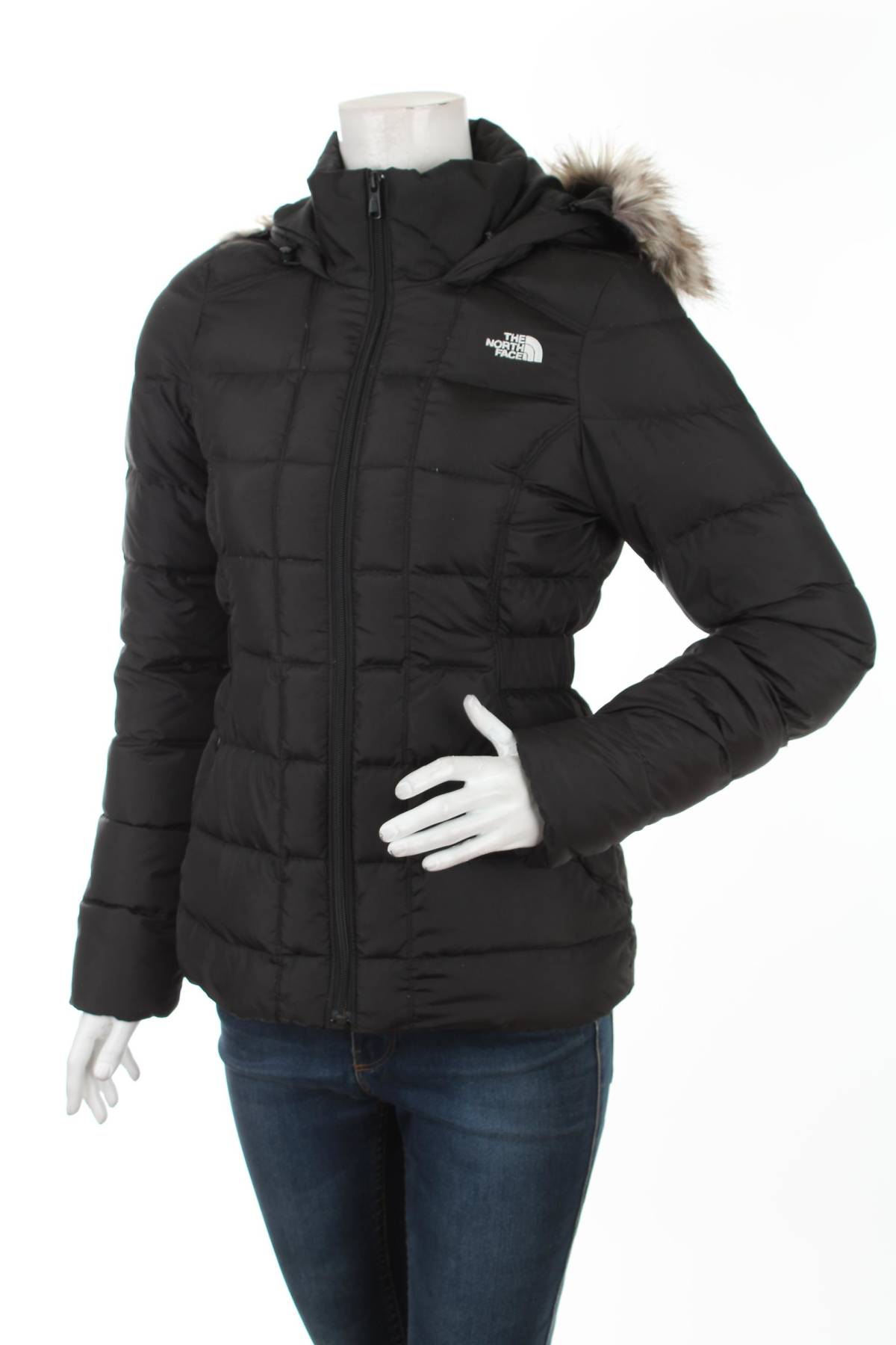 Γυναικείο μπουφάν The North Face1