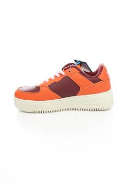 Кецове Sprandi2