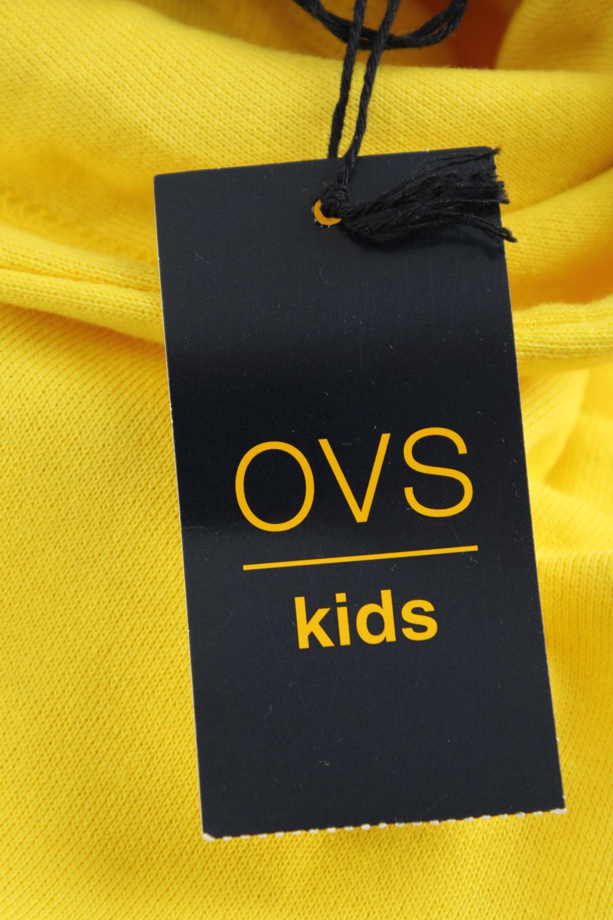 Παιδικό φούτερ Everlast3