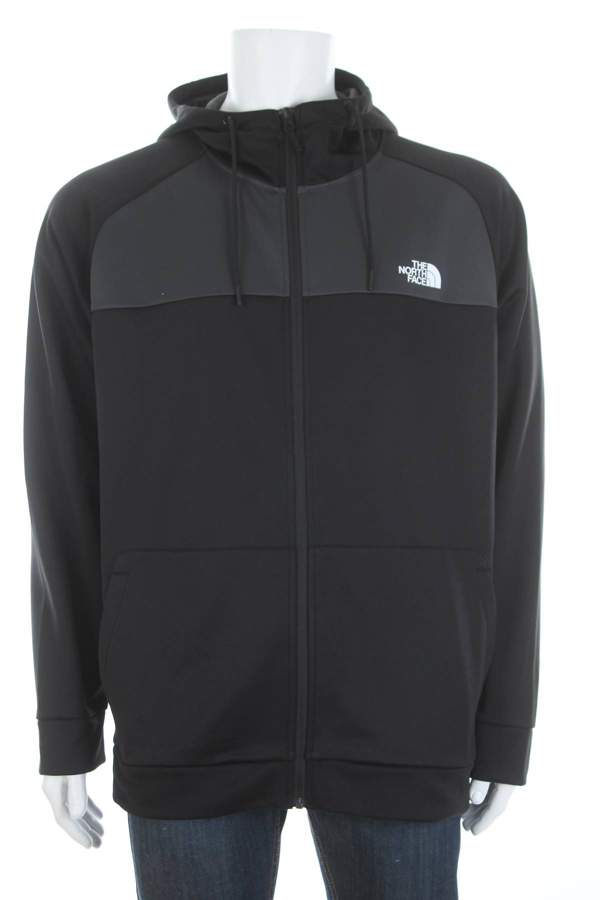 Ανδρικό φούτερ The North Face1