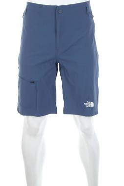 Ανδρικά σορτς The North Face1