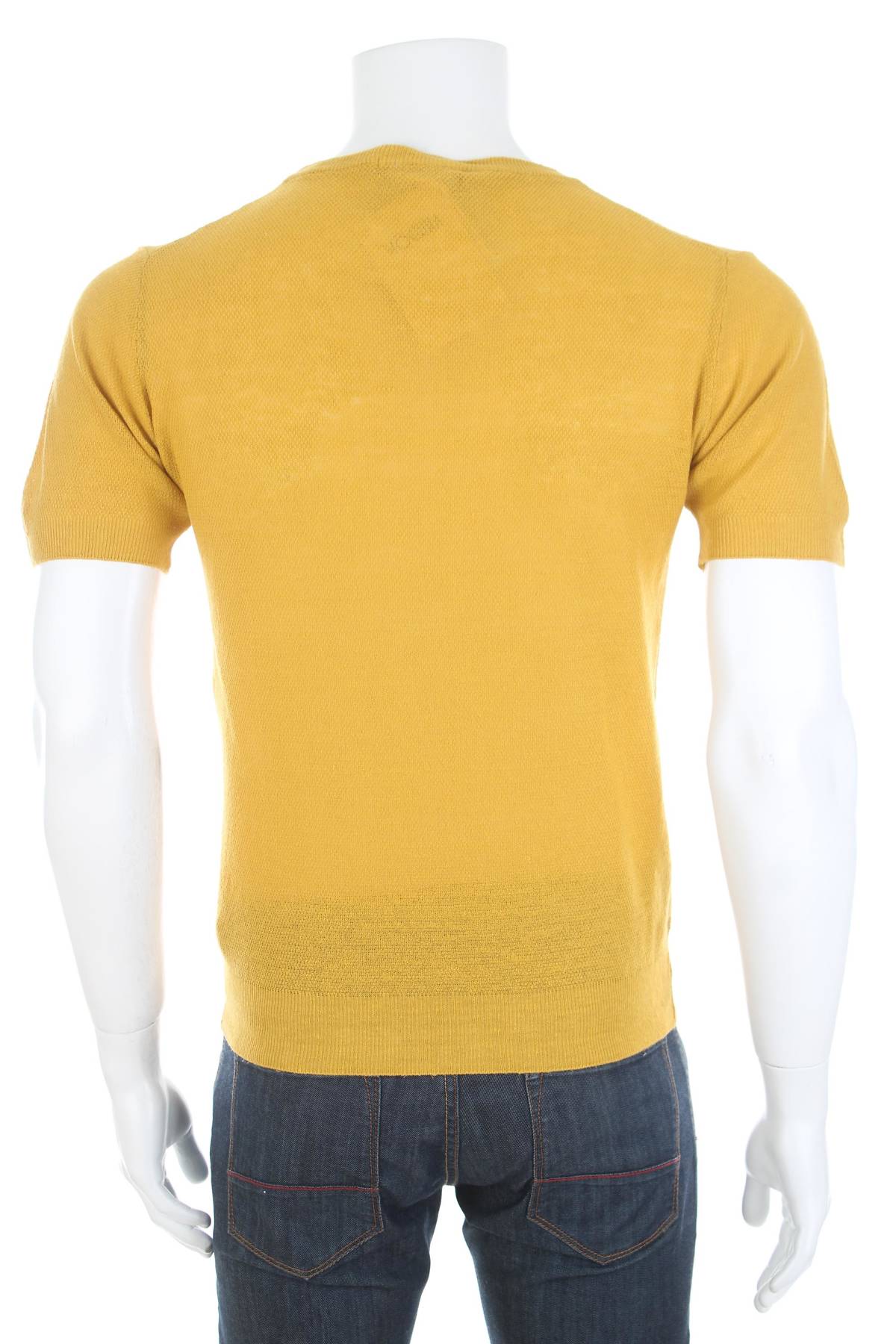 Ανδρικό πουλόβερ Vandom2