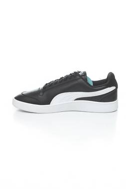 Кецове Puma2
