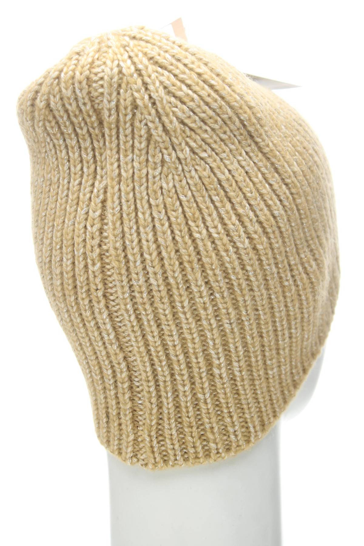 Шапка The North Face2