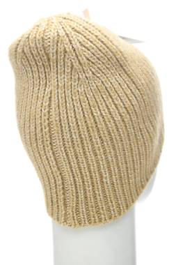 Шапка The North Face2