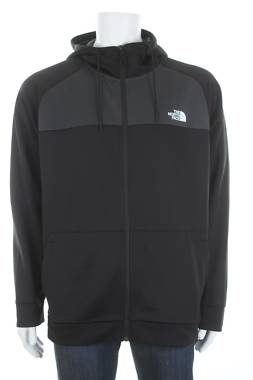 Ανδρικό φούτερ The North Face1