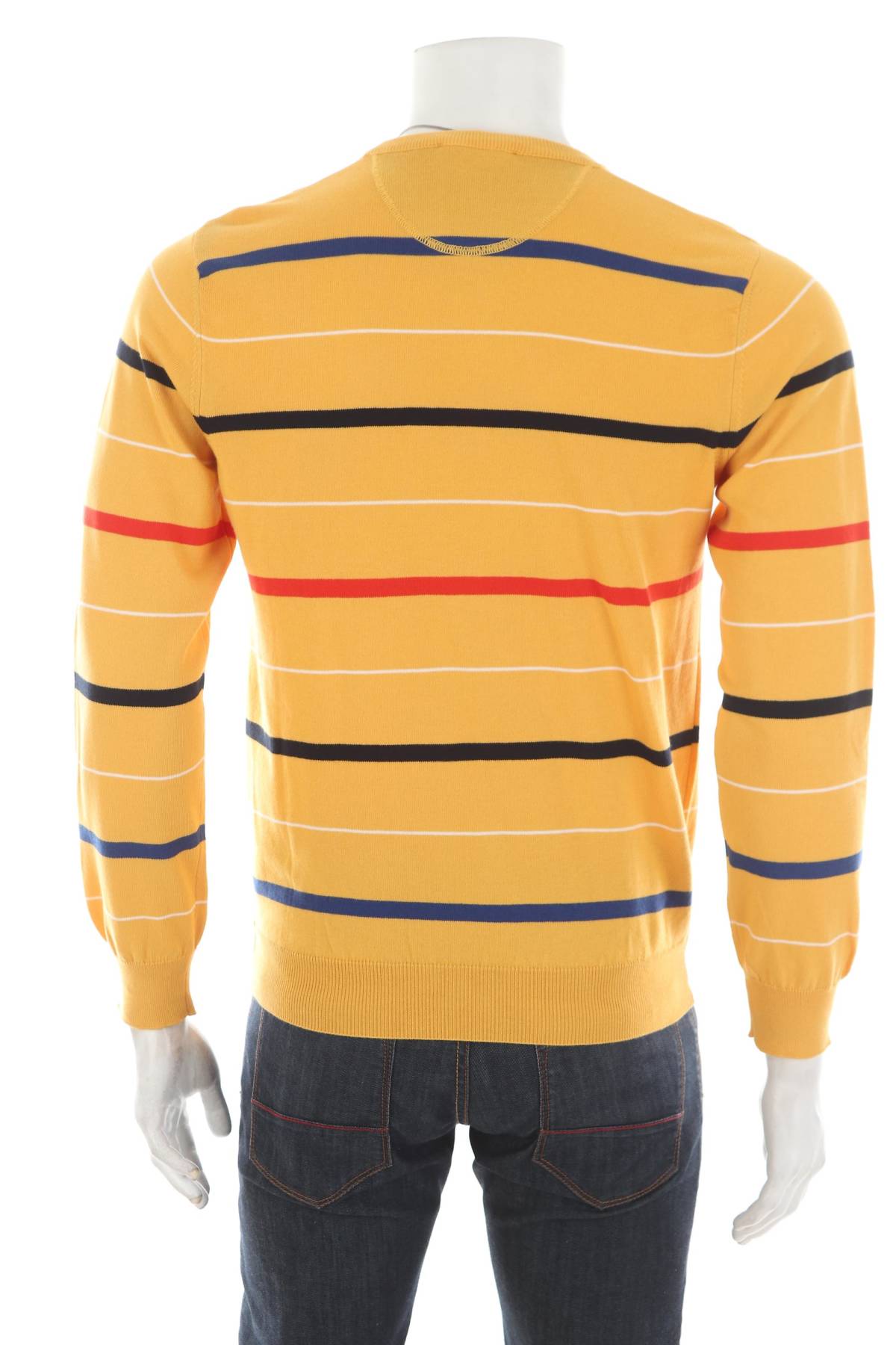 Ανδρικό πουλόβερ Andrea Fenzi2