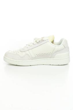 Кецове Lacoste2