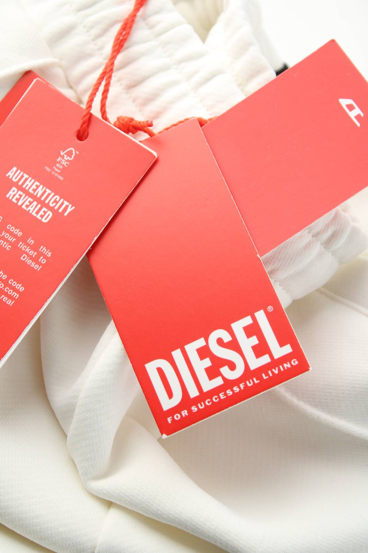 Γυναικείο αθλητικό παντελόνι Diesel3