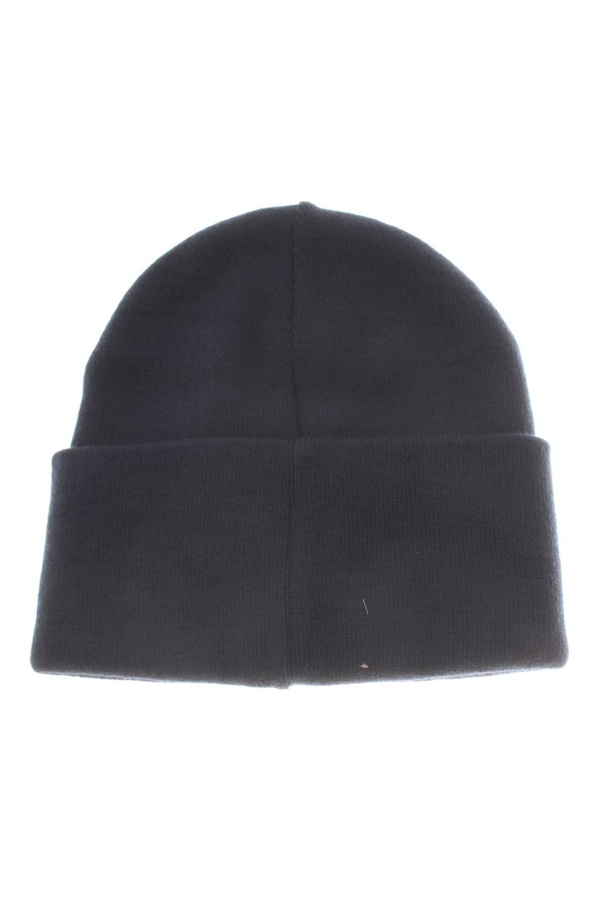 Шапка Champion2