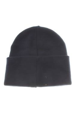 Шапка Champion2