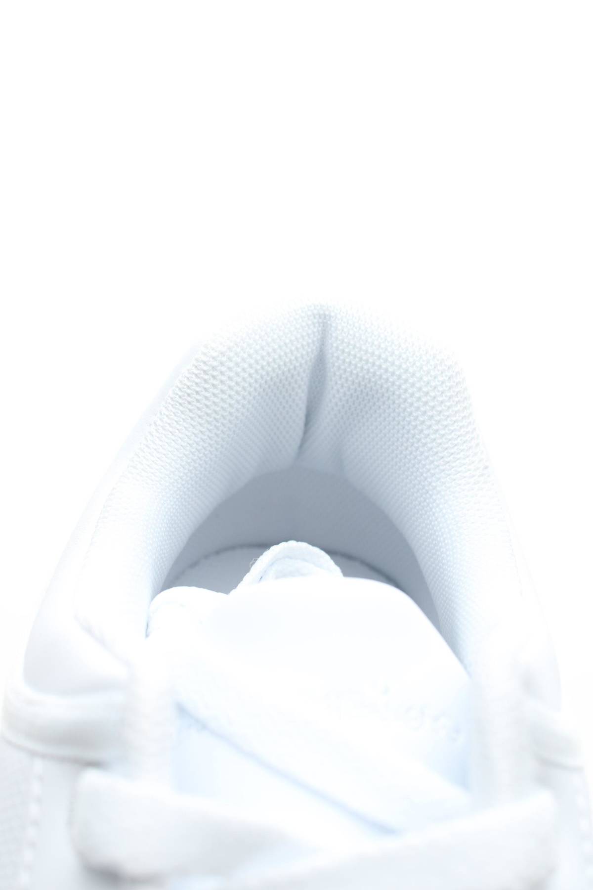 Кецове Champion5