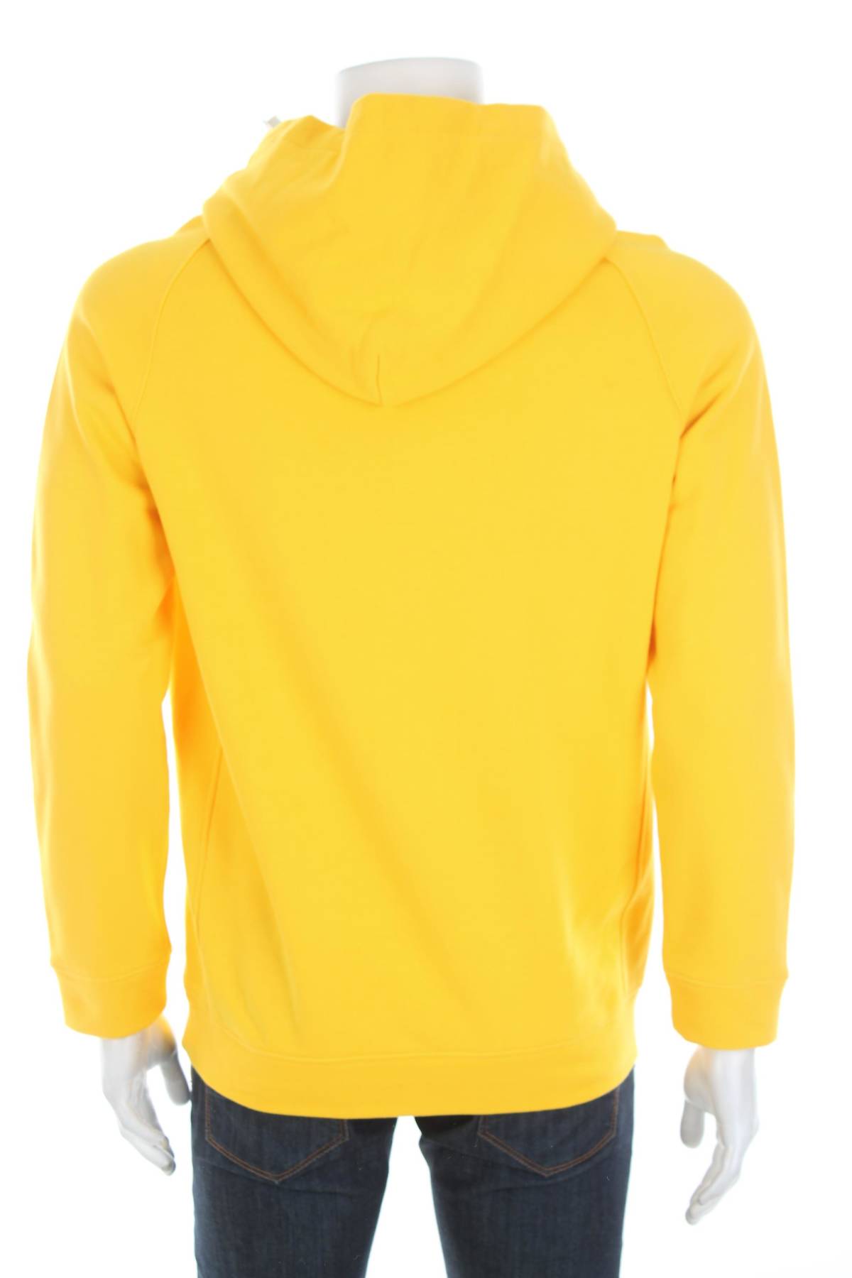 Ανδρικό φούτερ Reign2