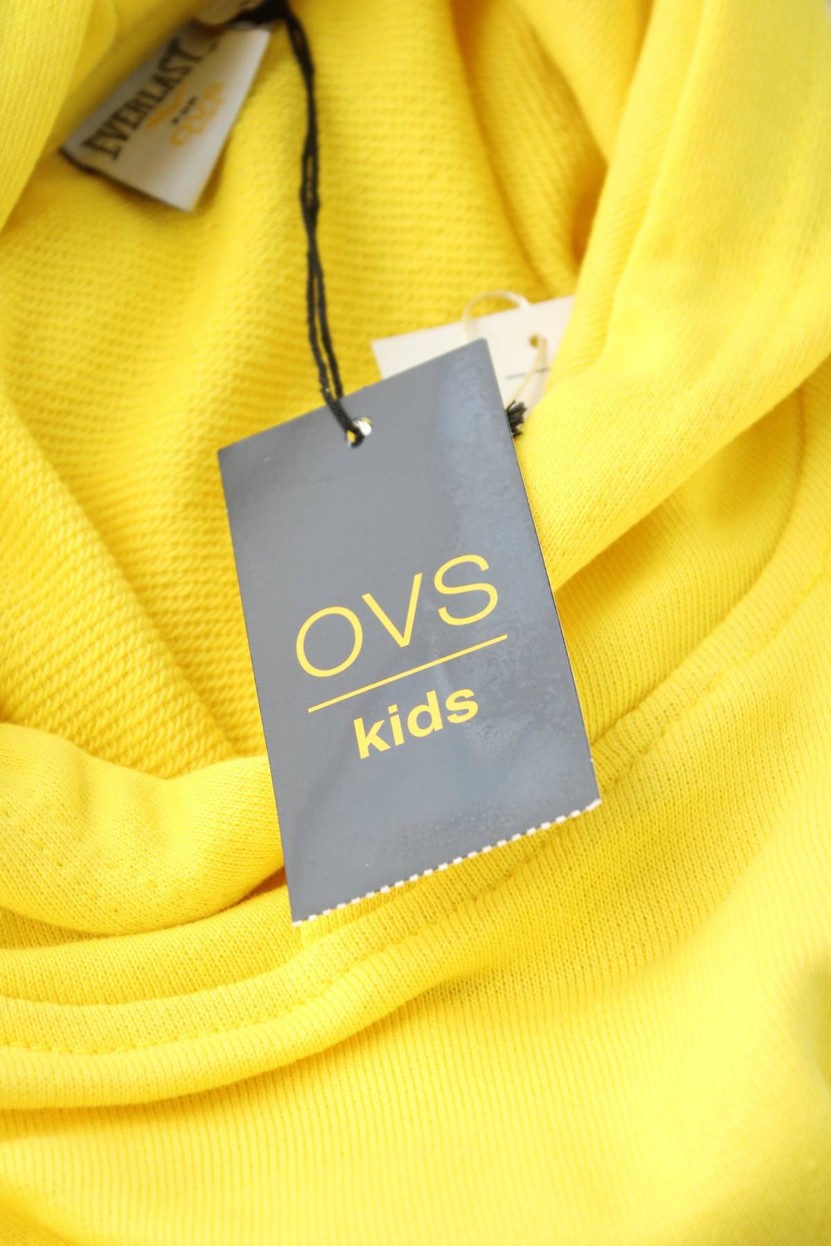 Παιδικό φούτερ Everlast3