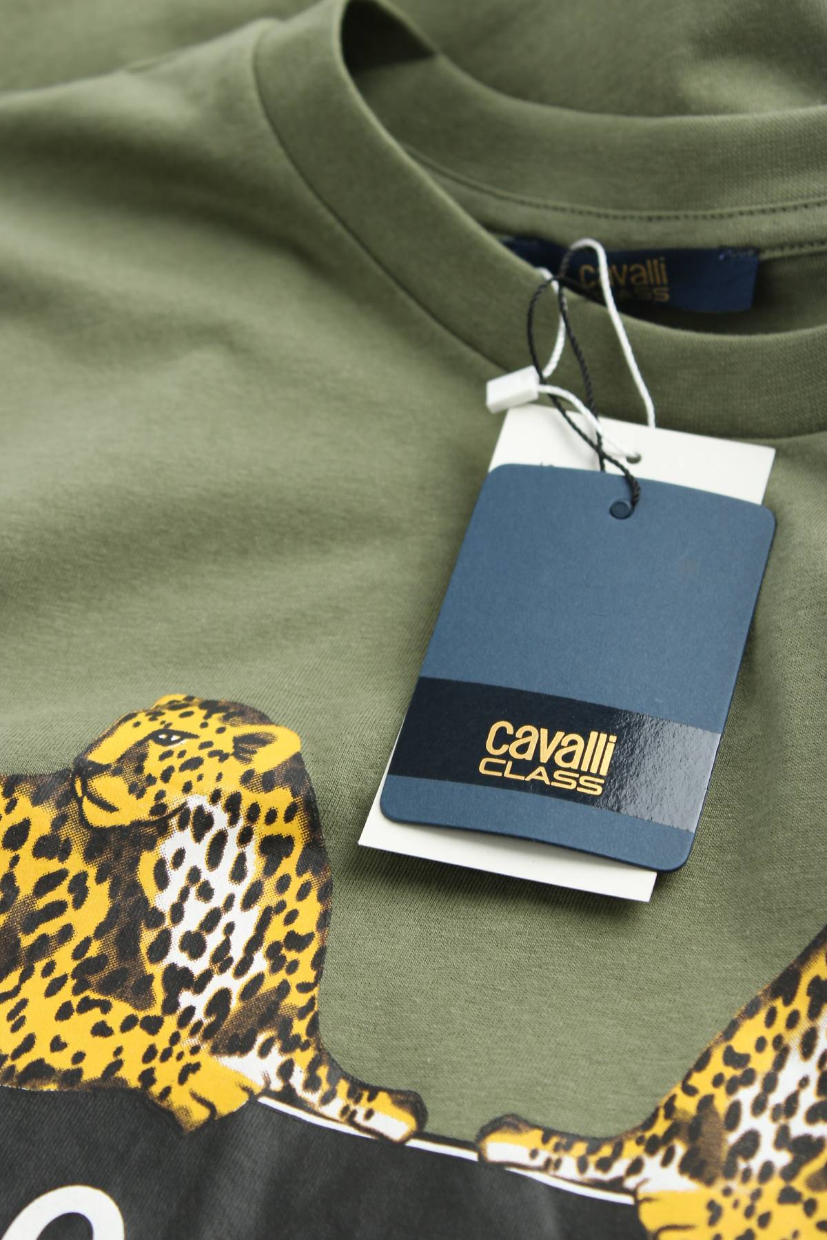 Мъжка тениска Cavalli Class3