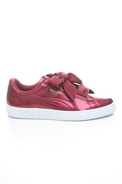 Кецове Puma1